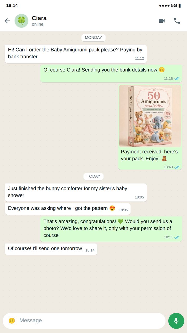 WhatsApp message from a customer